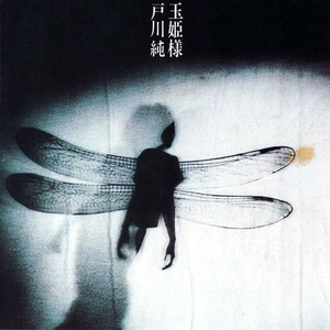 黄色人与动物之战
