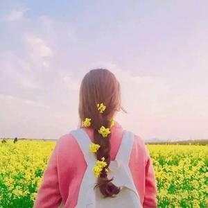 黄色人与动物之战
